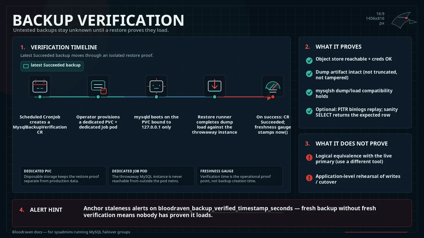 backup verification infographic