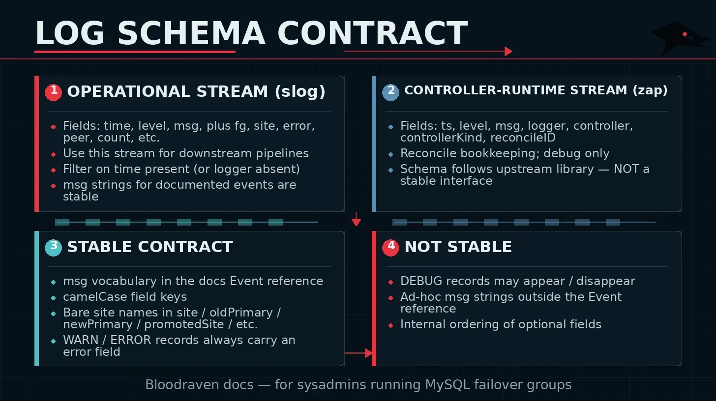 log schema infographic